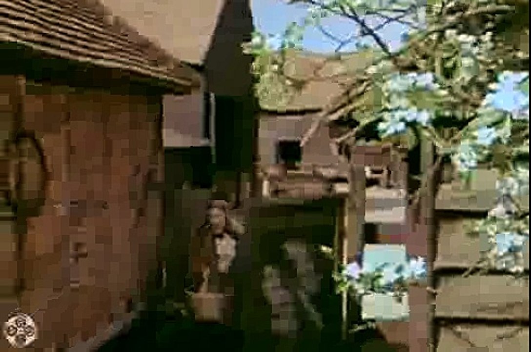 The Adventures of Black Beauty The Hostage S1 E02