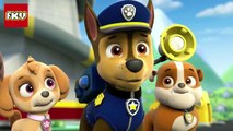 PAW PATROL Funniest FACE SWAPS Craziness ULTIMATE | Try Not to Laugh Family friendly