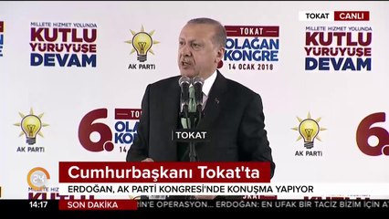 Tokat'ın bölünmüş yolları