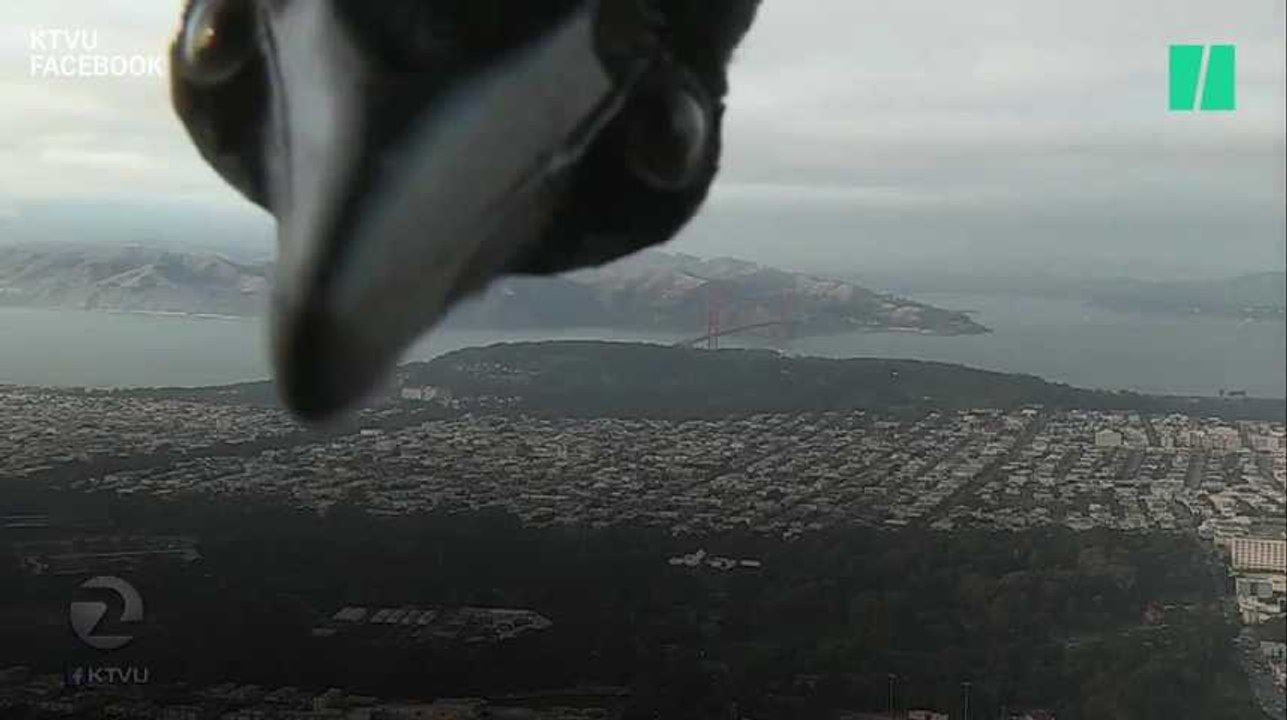 Vous allez adorer cet oiseau qui photobomb la météo