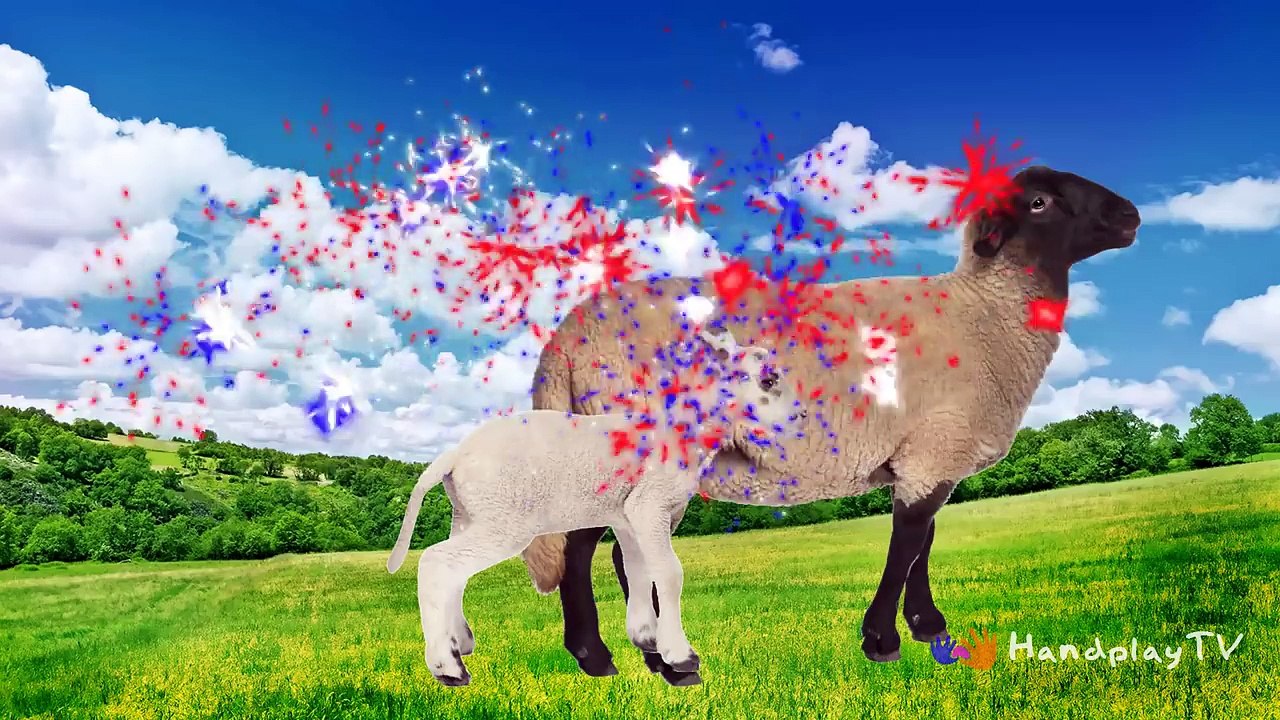 Animals Farm Baby Find Mom, Animals Farm Name and Sounds for Children | HandplayTV Animals for Kids