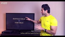 COW Milk v/s BUFFALO Milk - Which is better for Health? Info by Guru Mann