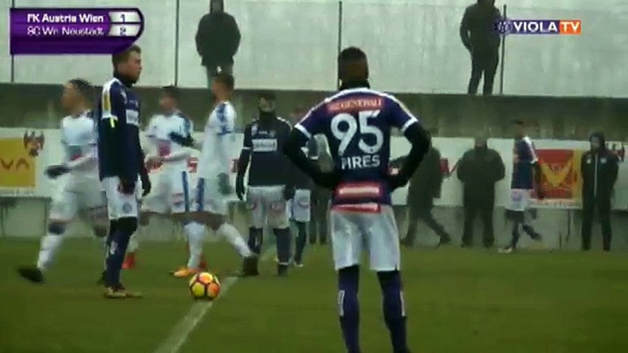 Austria 6:2 Wiener Neustadt (Friendly Match. 13 January 2018)