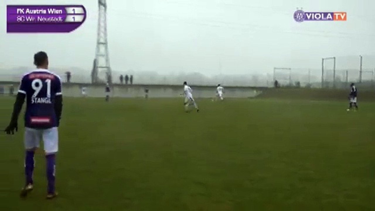 Austria 1:2 Wiener Neustadt (Friendly Match. 13 January 2018)