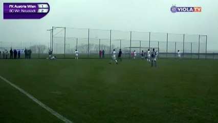 Austria 2:2 Wiener Neustadt (Friendly Match. 13 January 2018)
