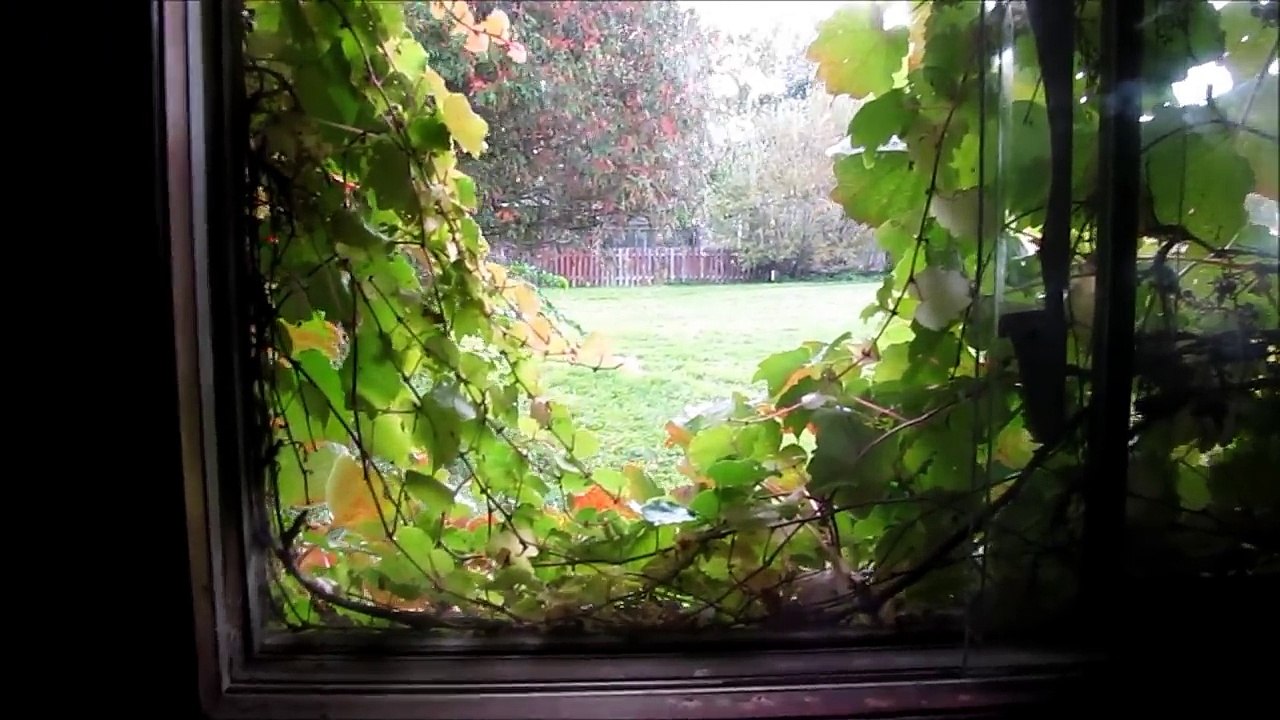 Urban Exploration: Abandoned Bungalow House