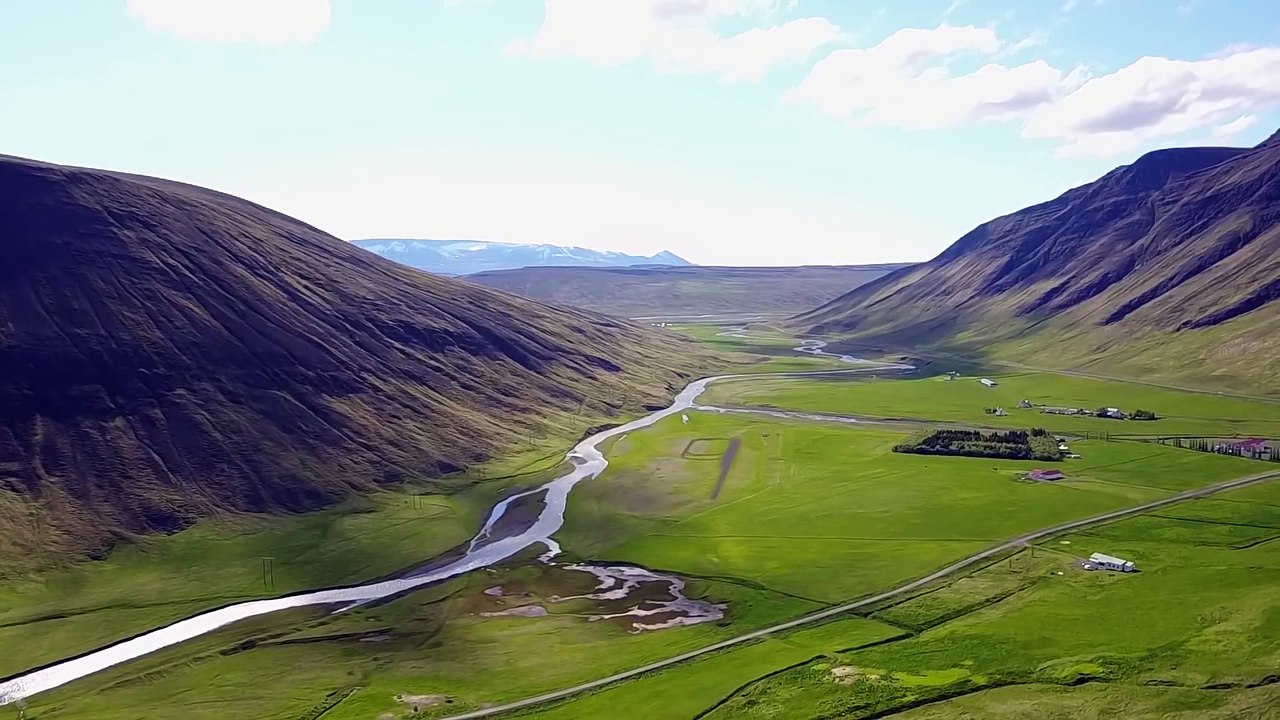 Iceland Is Growing New Forests for the First Time in 1,000 Years  Short Film Showcase