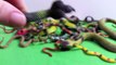 HUGE Toy Snakes Collection Real Snake Sounds- Toy Animals- Serpientes de Juguete