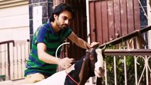 Bakra Eid Story - Part 2 - Social Media Edition - The Idiotz