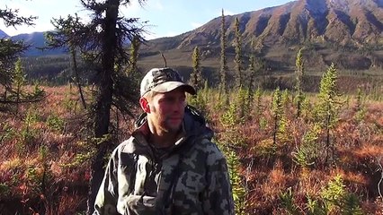 Alaska Moose Hunt 5 YARD SHOT!!!! - Stuck N the Rut 74