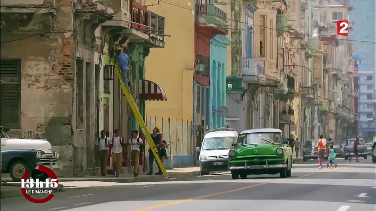 Cuba est devenue un paradis pour les abeilles... grâce à la chute de l'Union soviétique