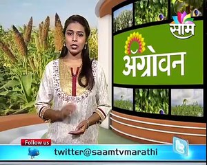 Subhash Mayekars Goat farming Success Story