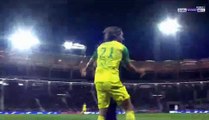 Rene Krhin Goal - Toulouse 0-1 Nantes 17-01-2018