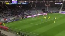 Rene Krhin  Goal HD - Toulouse	0-1	Nantes 17.01.2018