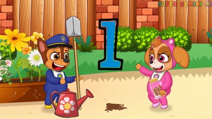 Paw Patrol Full Ep. | Pups Save Chase & Skye Donate To The Mother Funny Story | For Kids