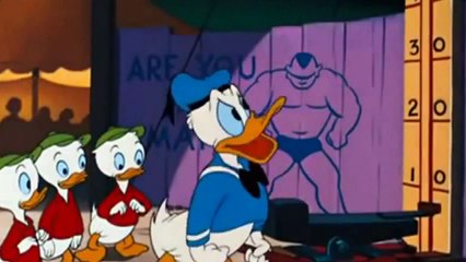 Donald duck cartoons - Canvas back duck