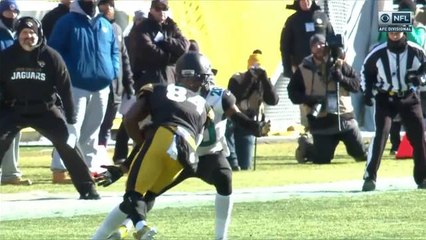 Steelers crowd cheers after A.B.'s first catch since Week 15