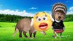 Animals Farm Name and Sounds | SING Animals Cartoon in Real Life | Animals Farm for Children, Kids