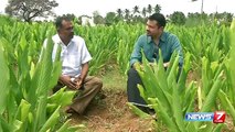 Sutralam Suvaikalam - Kudal Kari, Turmeric processing, Vaazhakkai Kola @ Erode Special | News7 Tamil