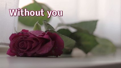 Without you ★ Playlist Natascha