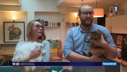 Conso tendance : animaux connectés