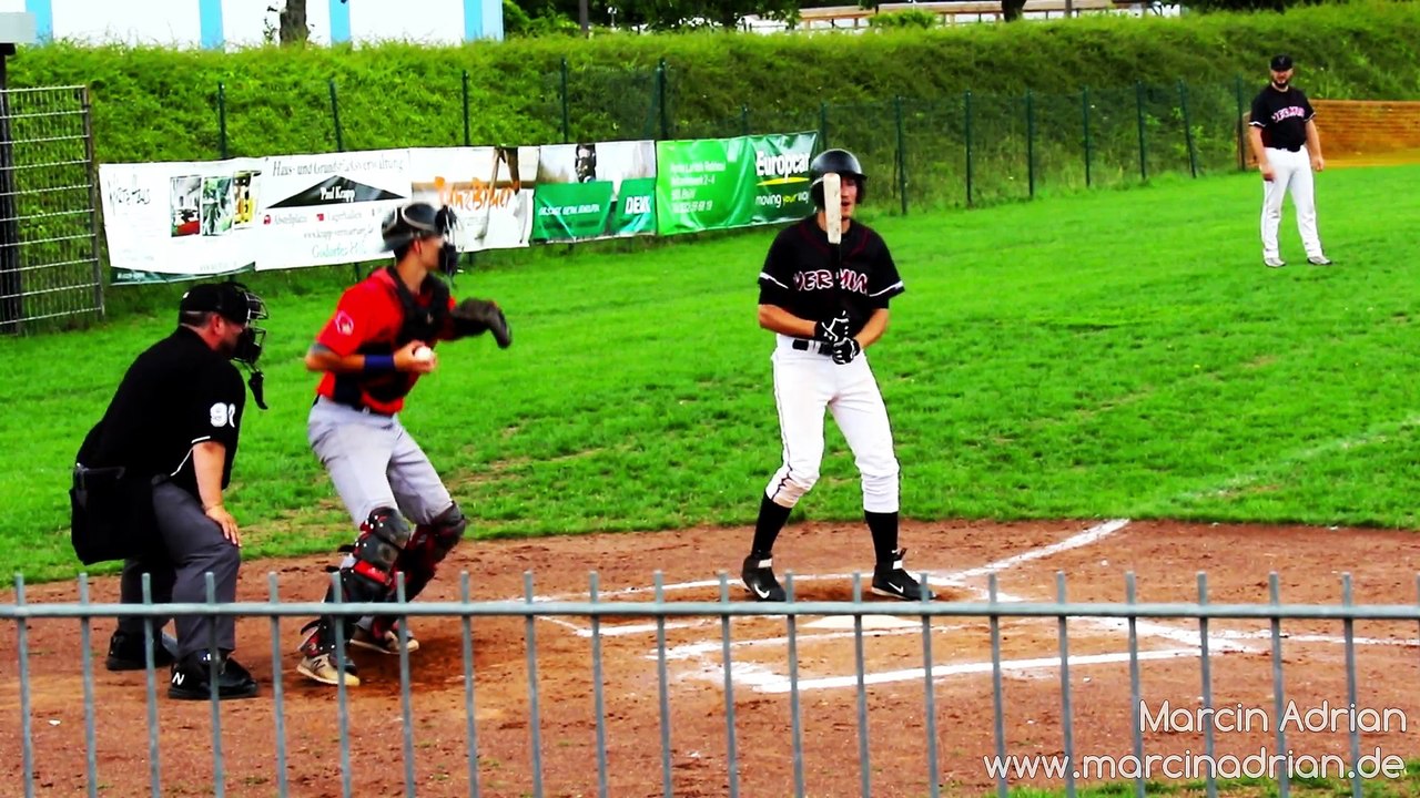 Sebastian Niesel, Wesseling Vermins - Cologne Cardinals / Baseball, Softball, MLB, DBV, Marcin Adrian
