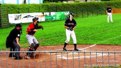 Sebastian Niesel, Wesseling Vermins - Cologne Cardinals / Baseball, Softball, MLB, DBV, Marcin Adrian