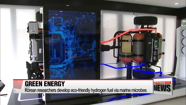 Korean researchers develop eco-friendly hydrogen fuel via marine microbes