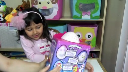 Hatchimals Surprise Egg Hatching Egg 5 Year Old Cutest Reion Review and Play