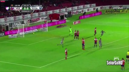 GOL de Gonzalez Arturo - Veracruz vs Monterrey 0-1