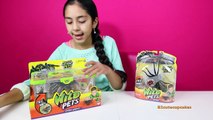 Giant Spiders Wild Pets Spiders-Electronic Pets| B2cutecupcakes