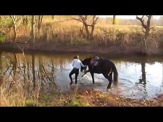 The Horse Sees The River For The First Time