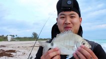 Surf Fishing: This bait will catch EVERYTHING!