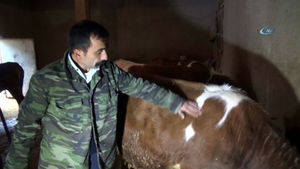 Ayyıldız'a 50 bin lira verdiler satmadı