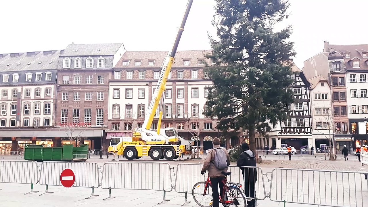 Démontage du grand sapin de la place Kléber