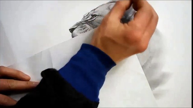 연필그림 - 동물(사자)그리기 [Realistic animal drawing - lion / Speed drawing]