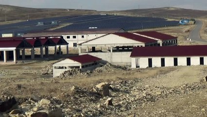 Hayvancılığın kalbi Bayburt’ta atacak