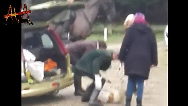 Une chasse à courre noie un cerf dans une rivière (Oise)