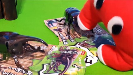 てくてく大冒険！キッズ アニメ＆おもちゃ 初めての クワガタ カブトムシ発見！幼児 トイキッズ