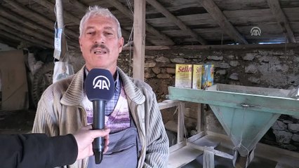 Köyün 300 yıllık su değirmeninin çarkları hala dönüyor  - MUĞLA