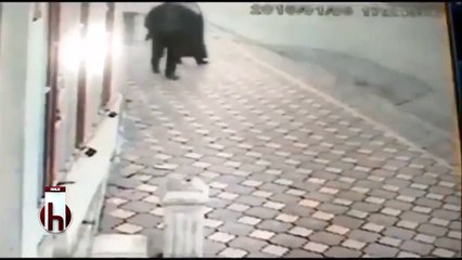 'Kareteci dayı' sosyal medyayı salladı!