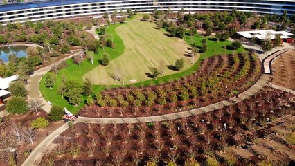 APPLE PARK obras enero 2018