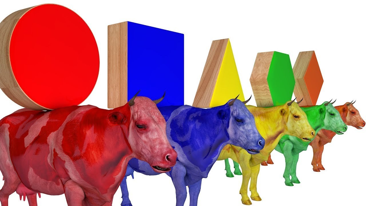 Learn Color and Learn Shapes Animal Cow Cow W Cartoon Nursery Rhymes Song For Kids