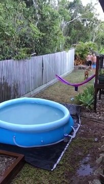 Sauter par-dessus le hamac dans la piscine... RATE !!