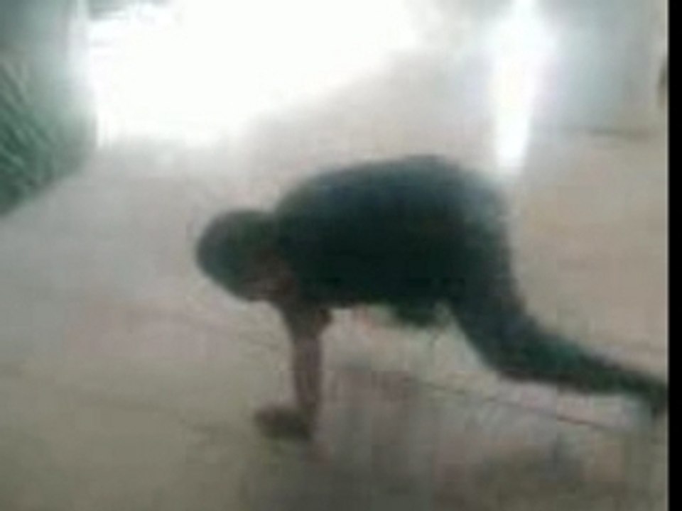 VID003