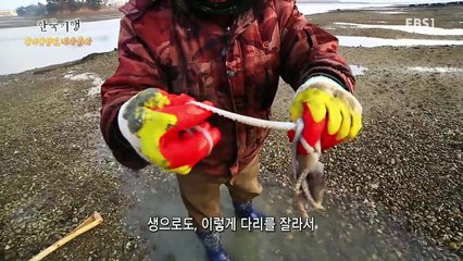 한국기행 - Korea travel_찬바람 불면 네가 올까 1부 겨울 바람 때문에_#002