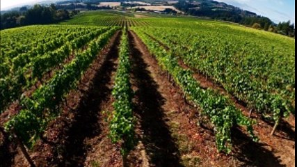 Rodeway Inn Eugene Oregon