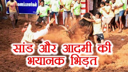 Jallikattu पर देखिए  सांड और आदमियों की जबरदस्त जंग, रोंगटे खड़े हो जाएंगे | वनइंडिया हिन्दी