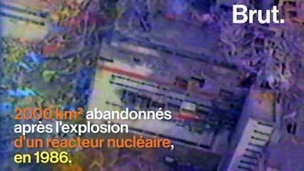 L’Ukraine va construire une centrale solaire à Tchernobyl, "à cent mètres du réacteur qui a explosé en 1986"