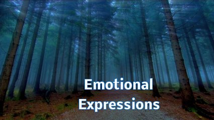 Emotional Expressions ★ Playlist Natascha